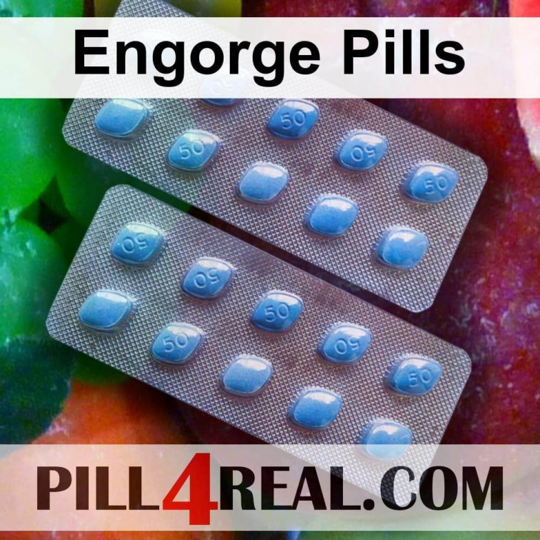 Engorge Pills 451