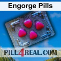Engorge Pills 462
