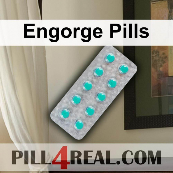 Engorge Pills 470
