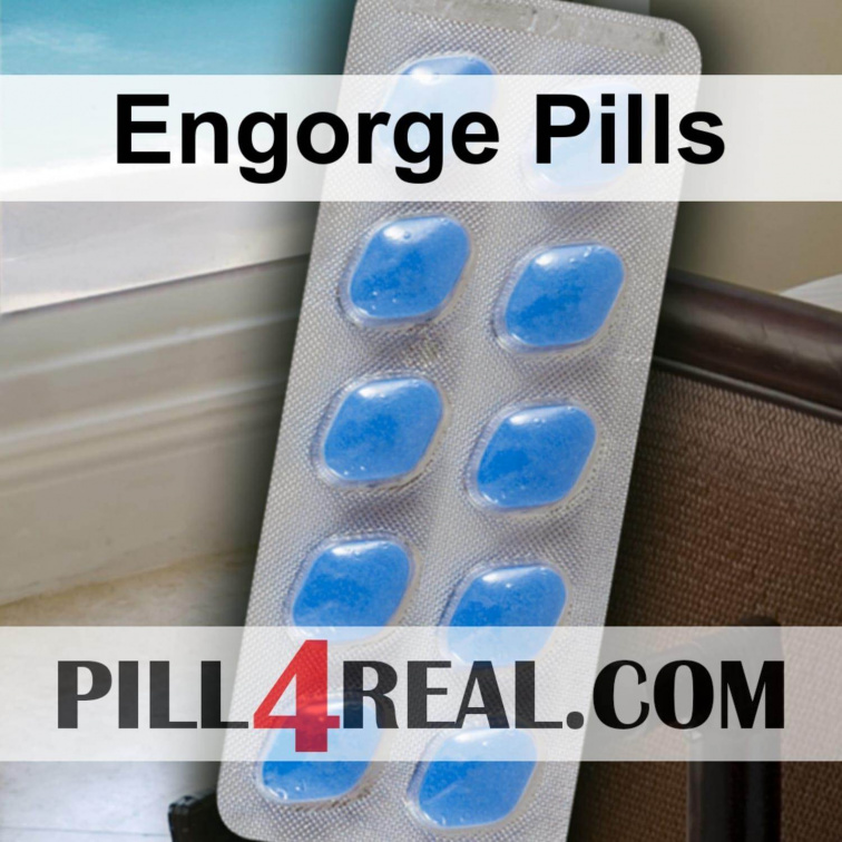 Engorge Pills 481