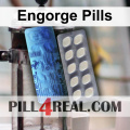 Engorge Pills 512