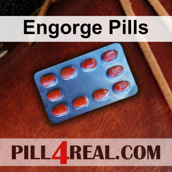 Engorge Pills 539