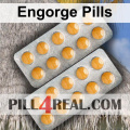 Engorge Pills 571