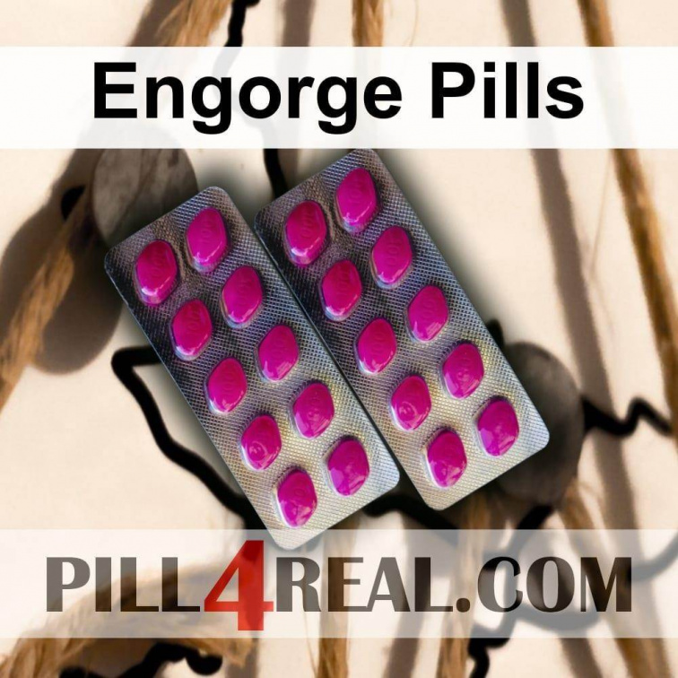Engorge Pills 590