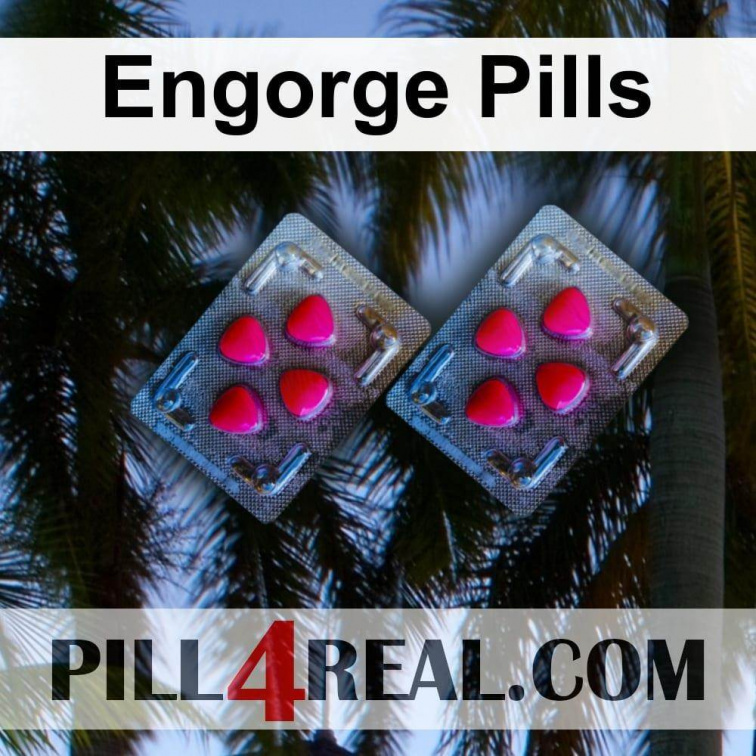 Engorge Pills 616