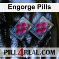 Engorge Pills 616