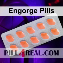 Engorge Pills 707