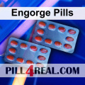 Engorge Pills 754