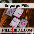 Engorge Pills 762