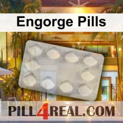 Engorge Pills 806