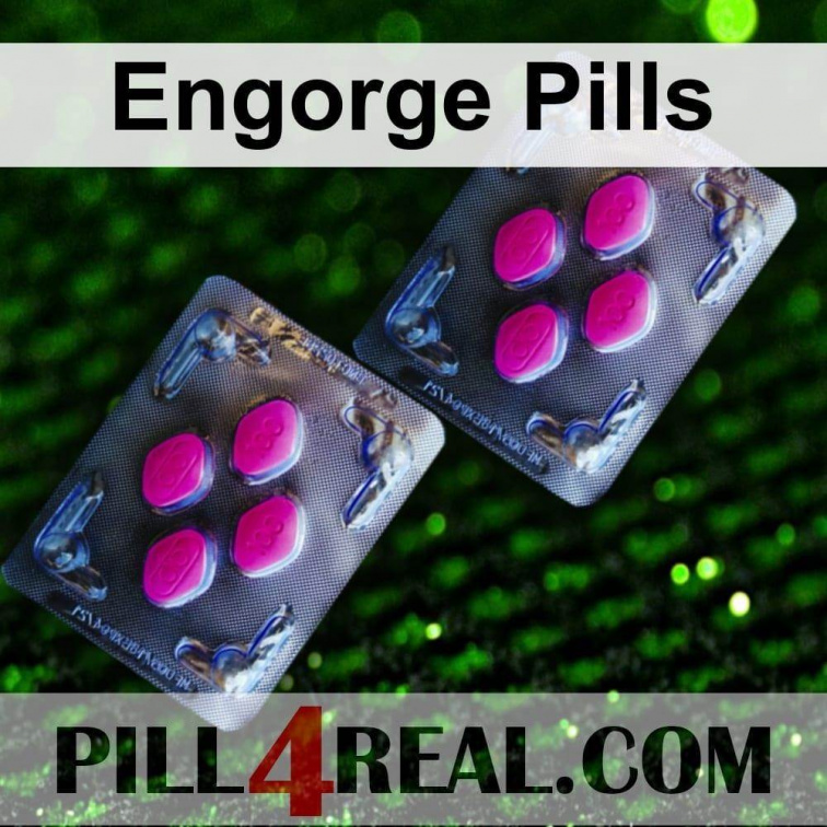 Engorge Pills 847