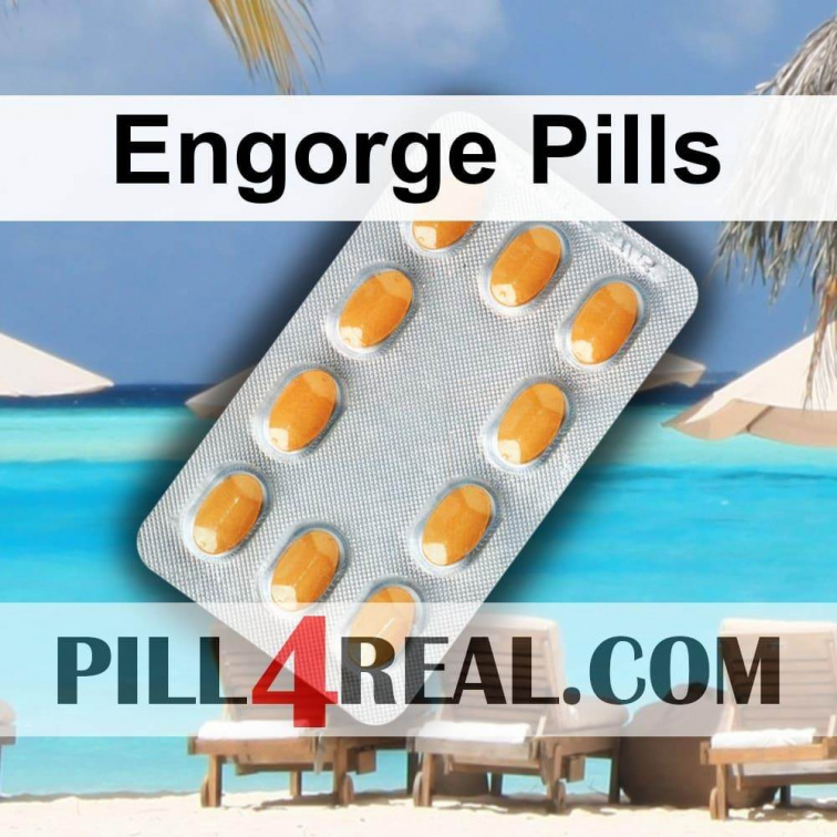 Engorge Pills 869