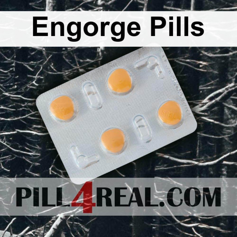 Engorge Pills 904