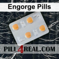 Engorge Pills 904