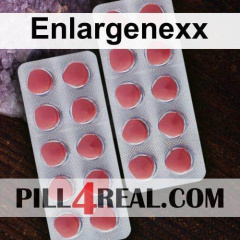 Enlargenexx 026