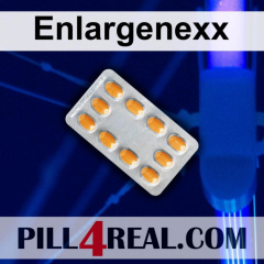 Enlargenexx 094