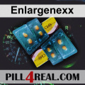 Enlargenexx 098