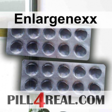 Enlargenexx 123