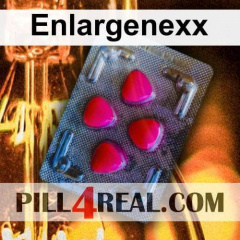 Enlargenexx 134