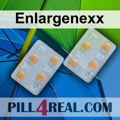 Enlargenexx 151