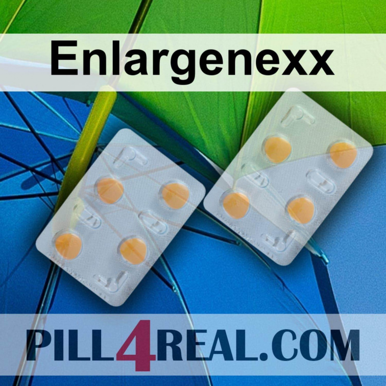 Enlargenexx 151