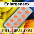 Enlargenexx 155