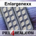 Enlargenexx 177