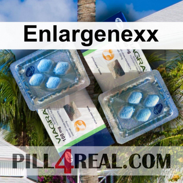 Enlargenexx 184