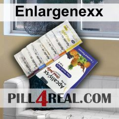 Enlargenexx 224
