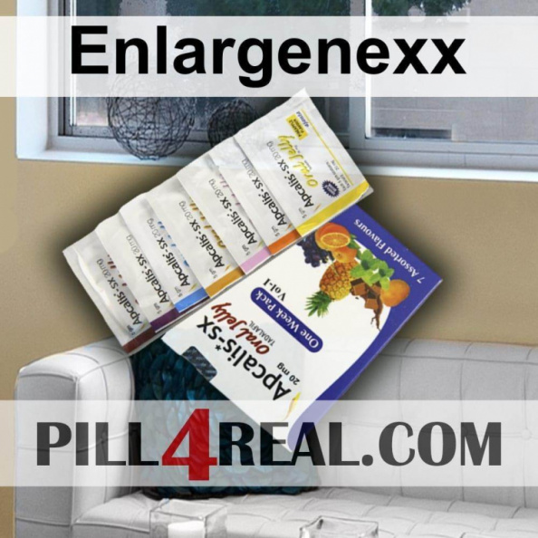Enlargenexx 224