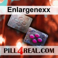 Enlargenexx 291