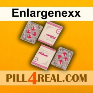 Enlargenexx 305