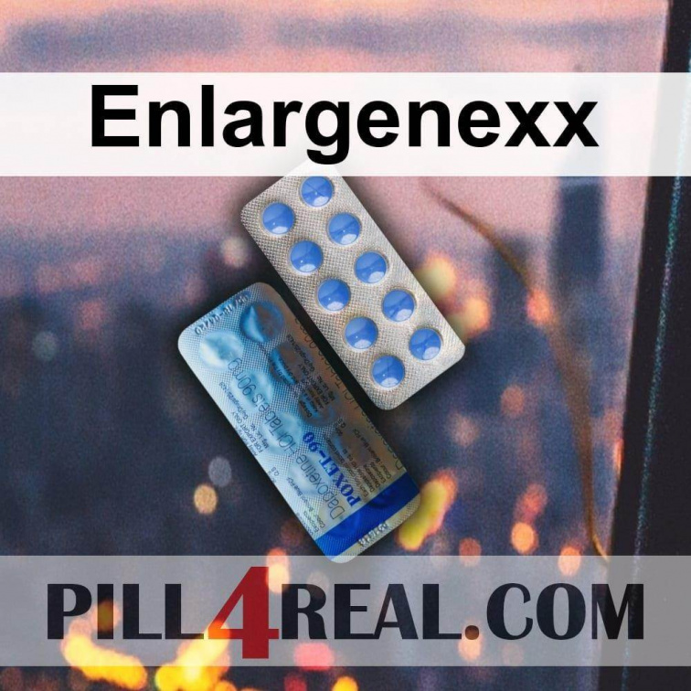 Enlargenexx 373