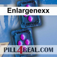 Enlargenexx 500