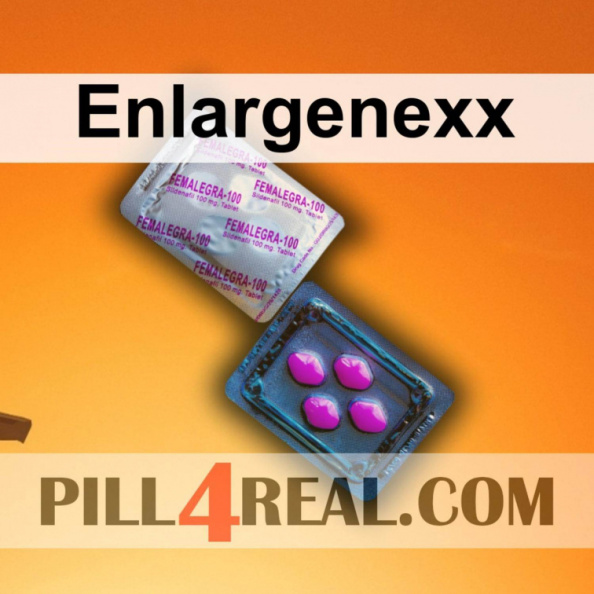 Enlargenexx 524