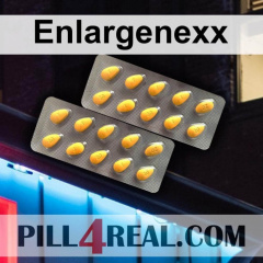 Enlargenexx 587