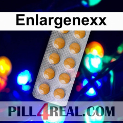 Enlargenexx 696