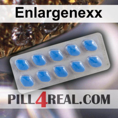 Enlargenexx 702