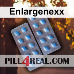 Enlargenexx 774