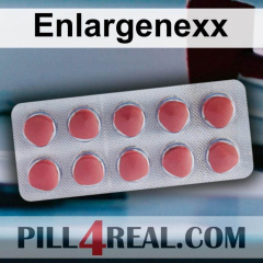 Enlargenexx 811