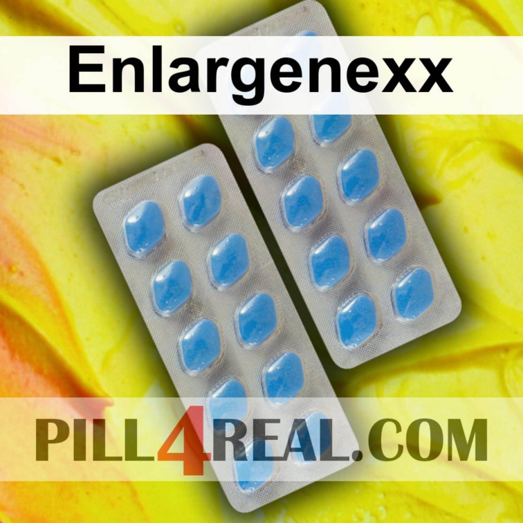 Enlargenexx 816