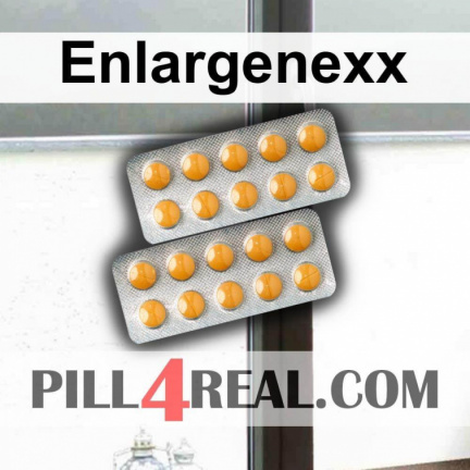 Enlargenexx 817