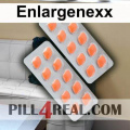 Enlargenexx 820