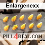 Enlargenexx 849