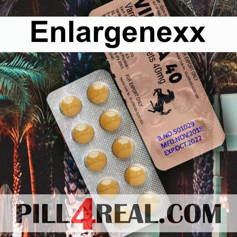 Enlargenexx 869
