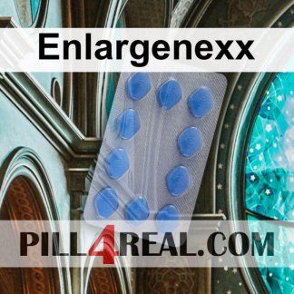 Enlargenexx 968
