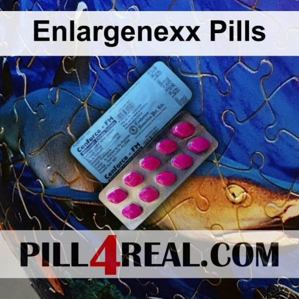 Enlargenexx Pills 003