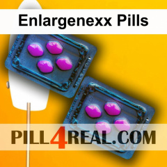 Enlargenexx Pills 252