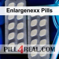 Enlargenexx Pills 293