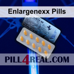 Enlargenexx Pills 295